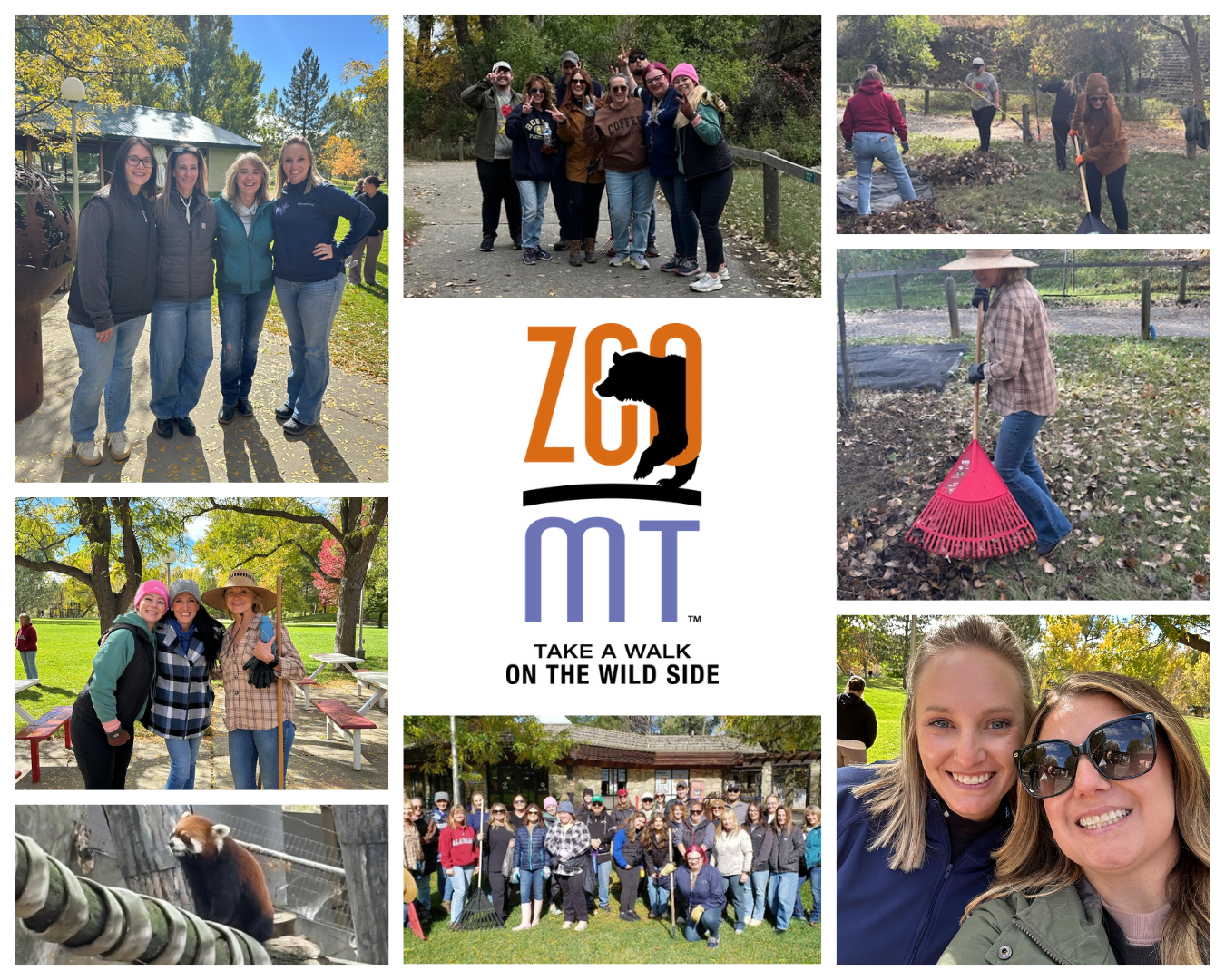 Leavitt Great West Team Volunteers at ZooMontana During Annual October Summit